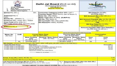 Delhi Jal Board Bill Payment: DJB Bill View, Download